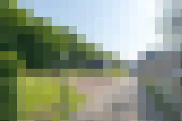 Hulst 55 Geldrop thumbnail 50