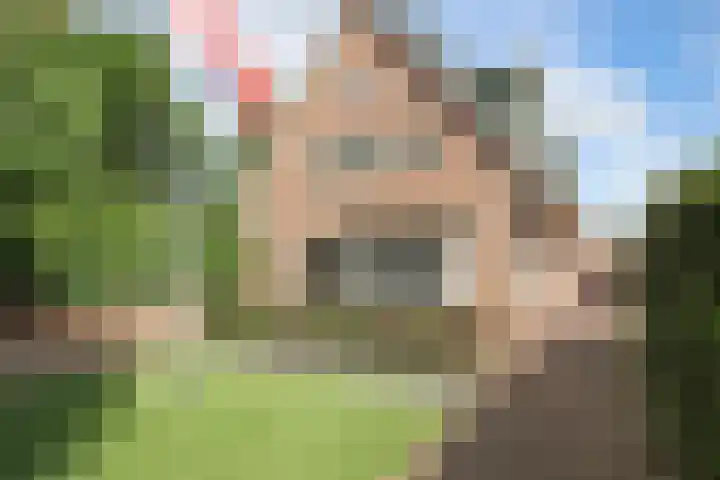 Hulst 55 Geldrop thumbnail 55