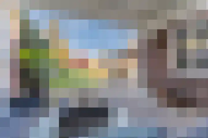 Hulst 55 Geldrop thumbnail 6