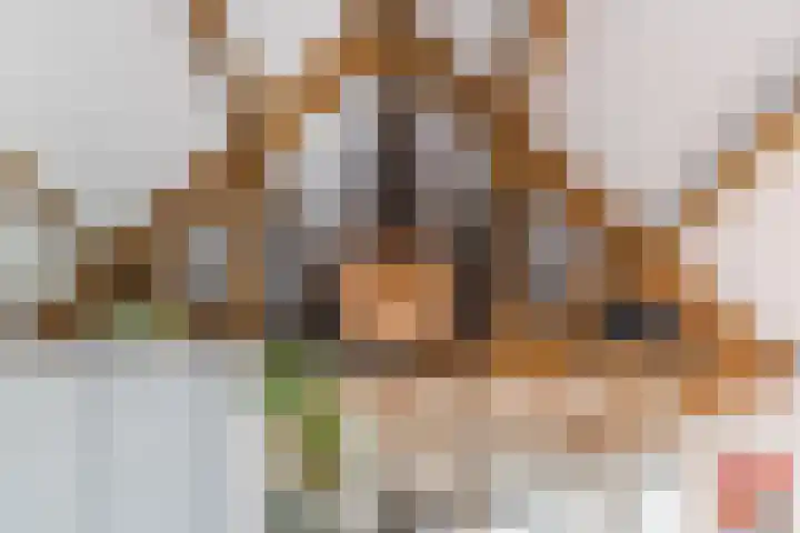 Hulst 55 Geldrop thumbnail 63