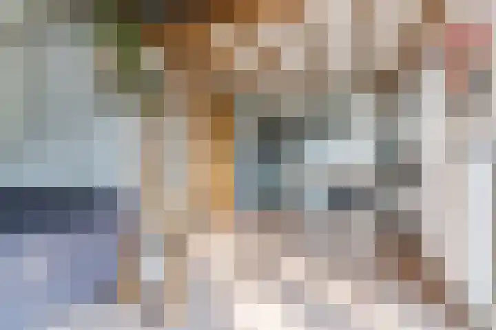 Hulst 55 Geldrop thumbnail 64