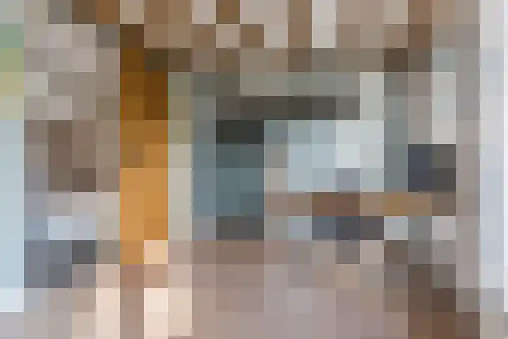 Hulst 55 Geldrop thumbnail 65