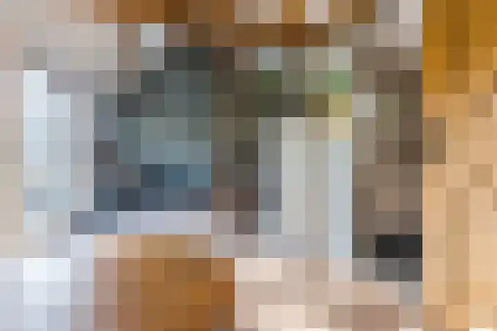 Hulst 55 Geldrop thumbnail 66