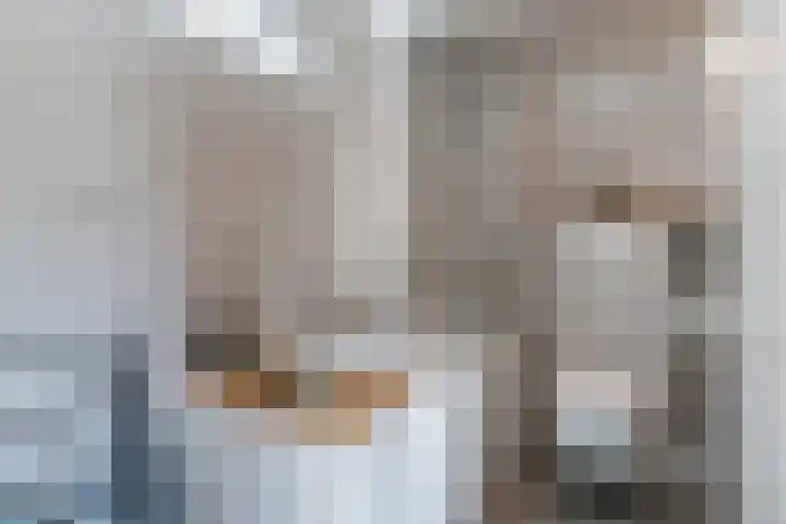 Hulst 55 Geldrop thumbnail 67