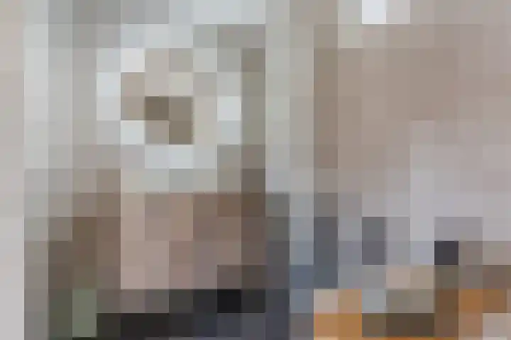 Hulst 55 Geldrop thumbnail 68