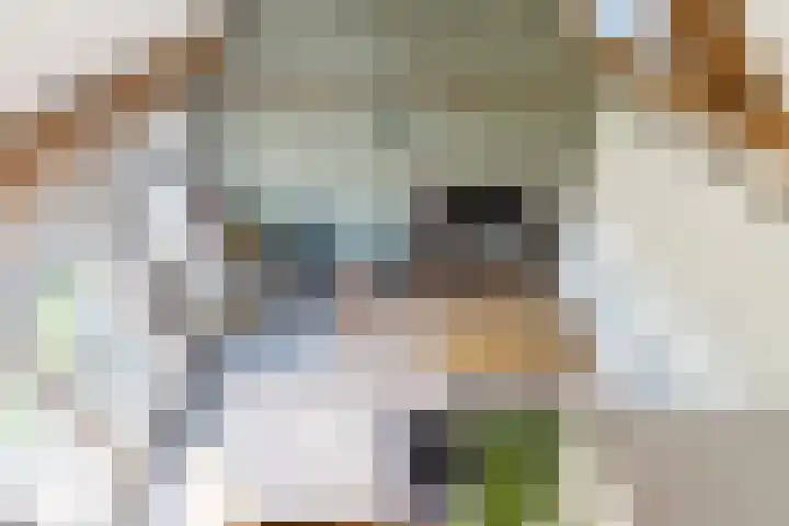 Hulst 55 Geldrop thumbnail 71
