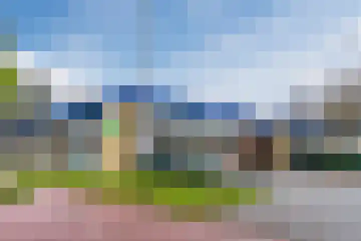 Hulst 55 Geldrop thumbnail 75