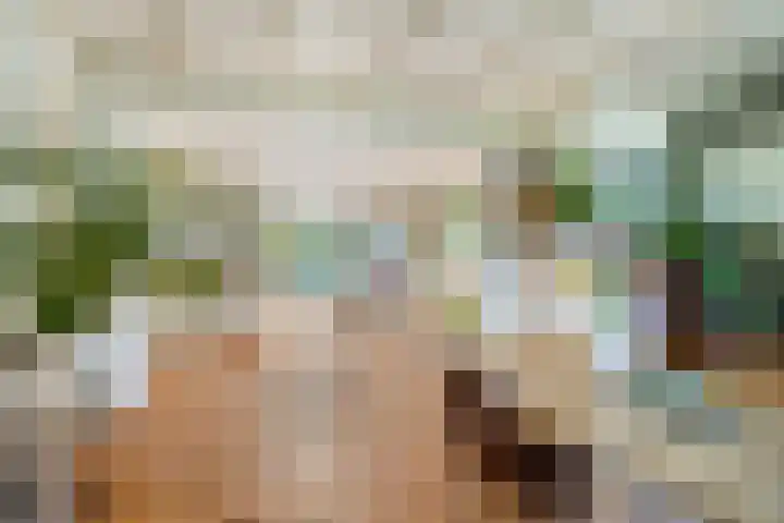 Hulsterseweg 2 Axel thumbnail 15