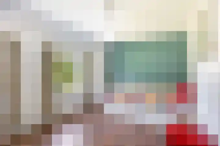 Hulsterseweg 2 Axel thumbnail 25