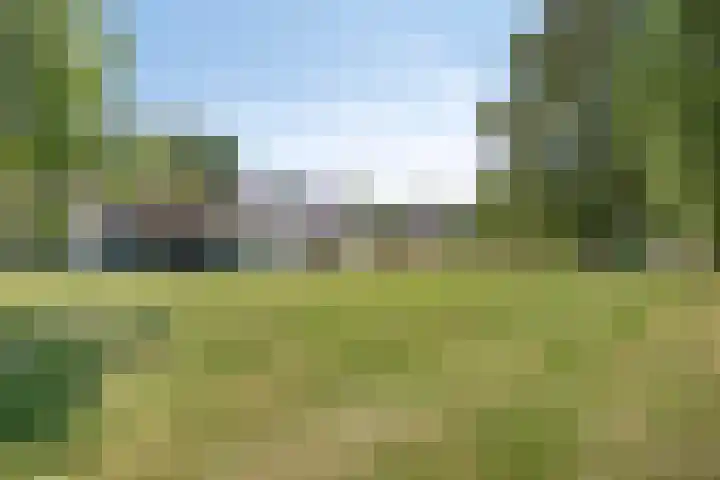 Hulsterseweg 2 Axel thumbnail 28