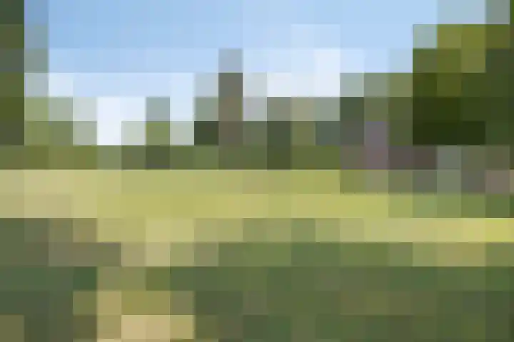 Hulsterseweg 2 Axel thumbnail 30