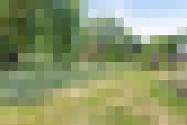 Hulsterseweg 2 Axel thumbnail 31