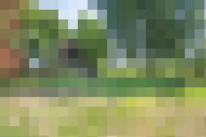 Hulsterseweg 2 Axel thumbnail 33