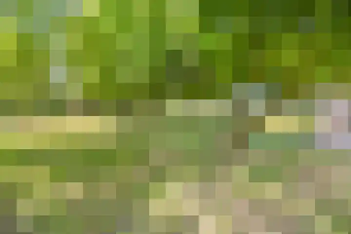 Hulsterseweg 2 Axel thumbnail 36