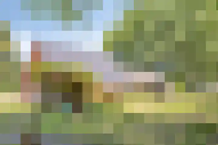 Hulsterseweg 2 Axel thumbnail 39