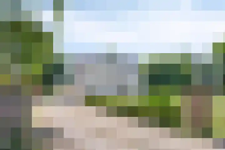 Hulsterseweg 2 Axel thumbnail 4