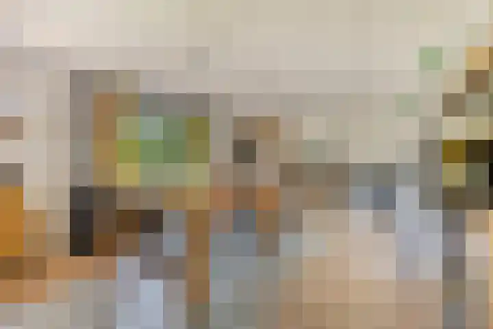 Hulsterseweg 2 Axel thumbnail 40