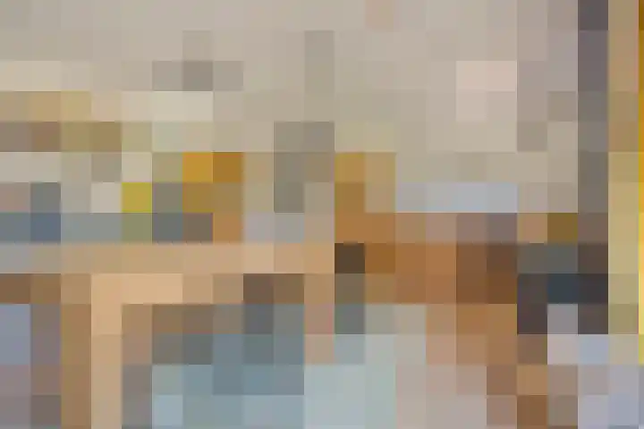 Hulsterseweg 2 Axel thumbnail 41