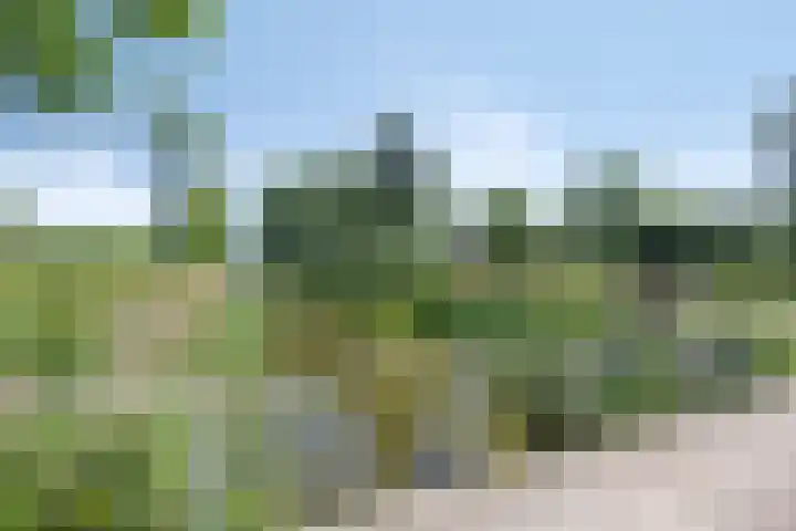 Hulsterseweg 2 Axel thumbnail 47