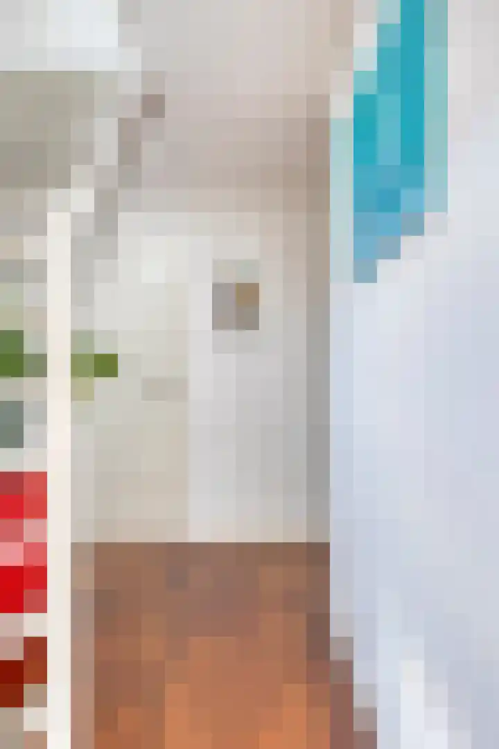 Hulsterseweg 2 Axel thumbnail 9