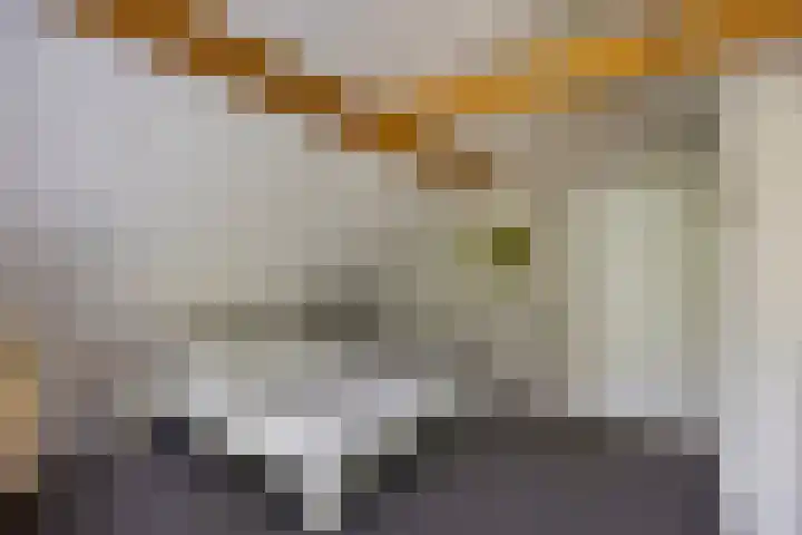 Hulsthof 25 Appelscha thumbnail 21