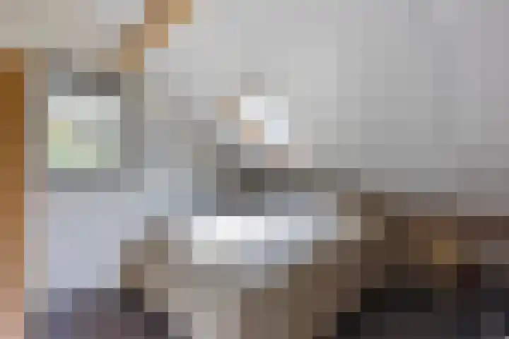 Hulsthof 25 Appelscha thumbnail 24