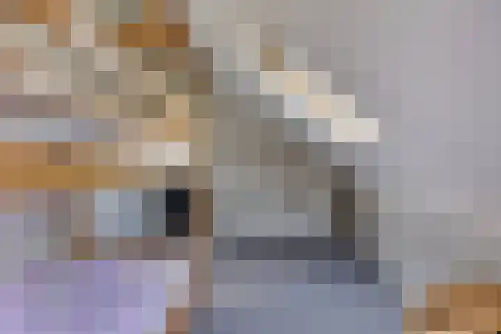 Hulsthof 25 Appelscha thumbnail 26