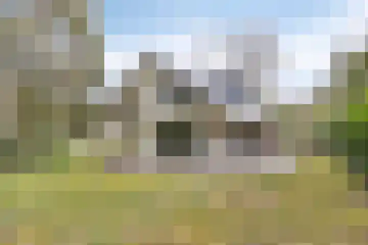 Hulsthof 25 Appelscha thumbnail 27