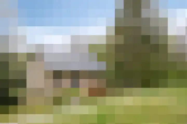 Hulsthof 25 Appelscha thumbnail 30