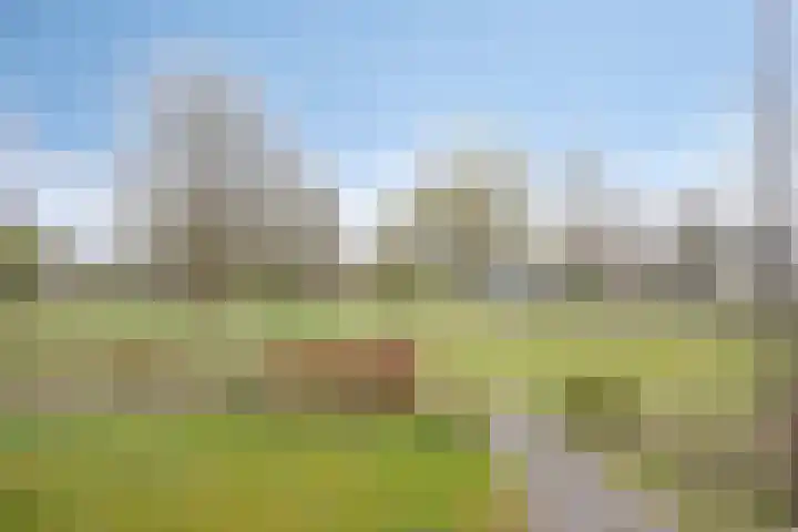 Hulsthof 25 Appelscha thumbnail 31