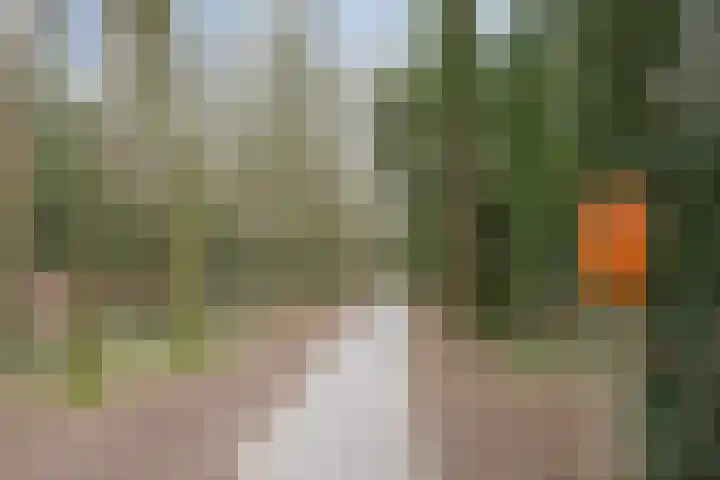 Hulsthof 25 Appelscha thumbnail 35
