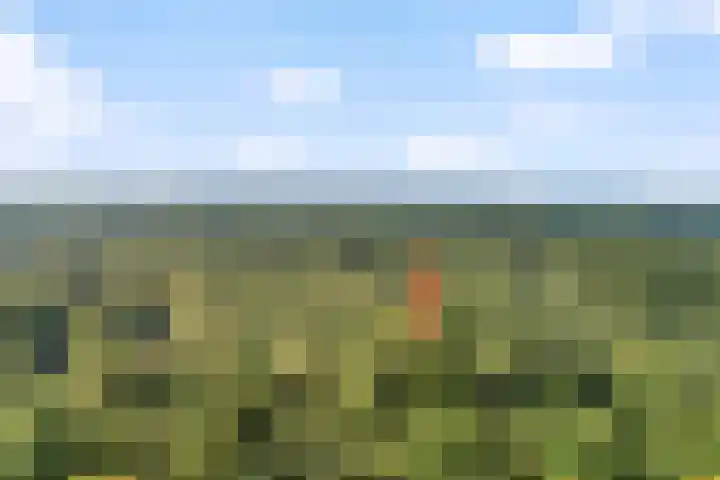 Hulsthof 25 Appelscha thumbnail 36