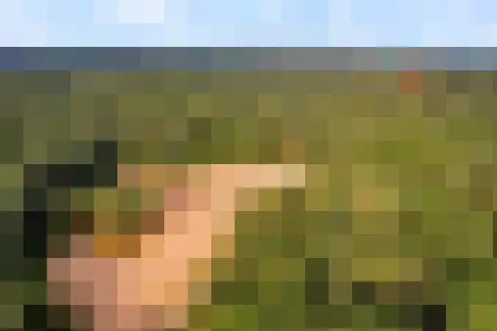 Hulsthof 25 Appelscha thumbnail 37