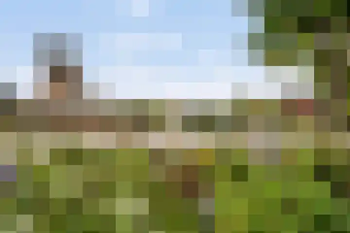 Hulsthof 25 Appelscha thumbnail 38
