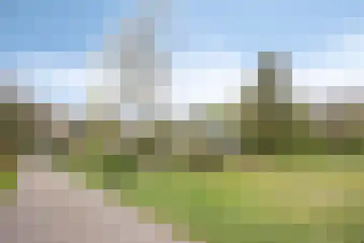 Hulsthof 25 Appelscha thumbnail 5