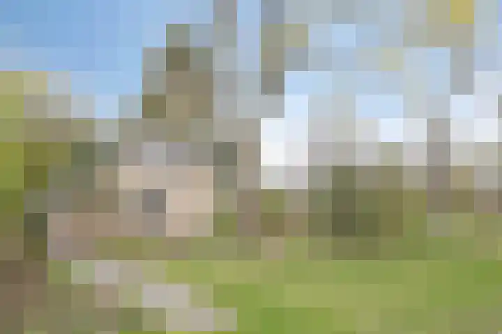 Hulsthof 25 Appelscha thumbnail 6