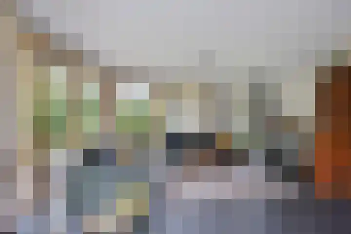 Hulsthof 25 Appelscha thumbnail 7