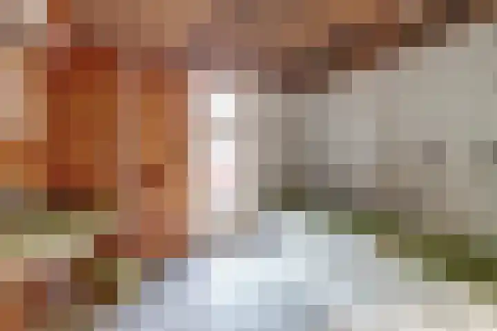 Logo Hulstkamp Christie's Makelaars