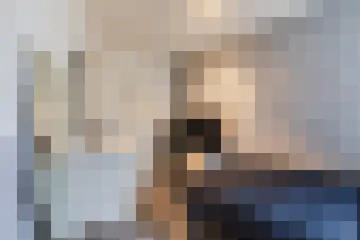 Hulststraat 1 Echt thumbnail 32