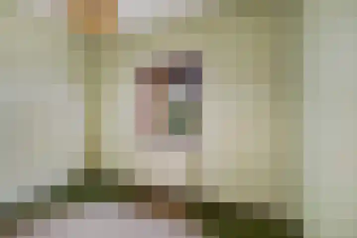Hulstweg 7 Harfsen thumbnail 15