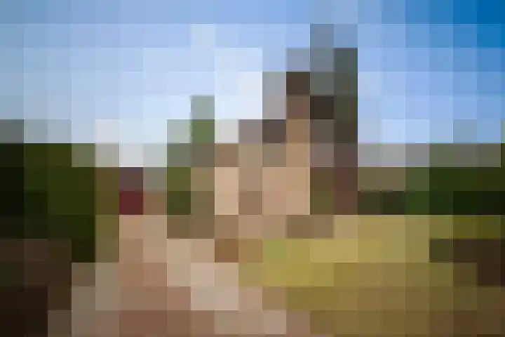 Hulstweg 7 Harfsen foto 2