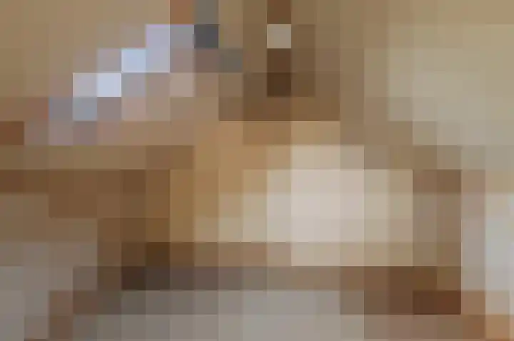 Hulstweg 7 Harfsen thumbnail 23
