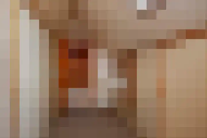 Hulstweg 7 Harfsen thumbnail 24