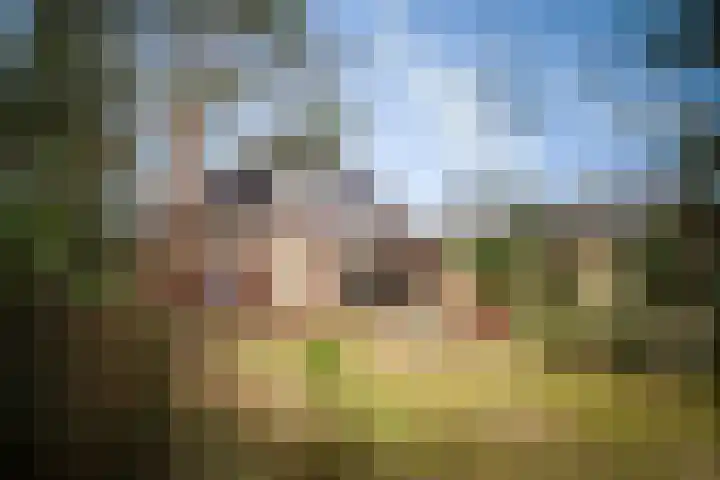 Hulstweg 7 Harfsen thumbnail 27