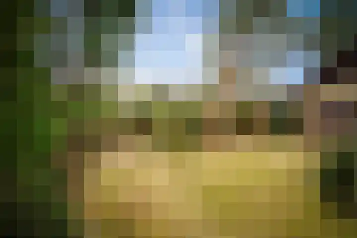 Hulstweg 7 Harfsen thumbnail 29