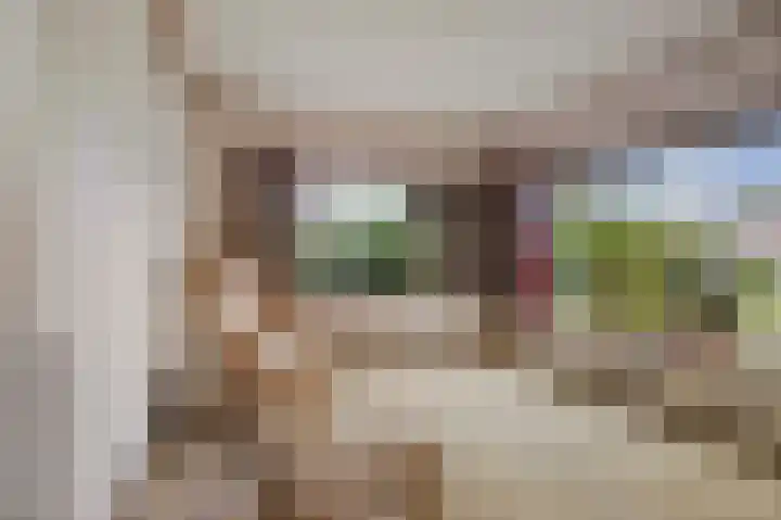 Hulstweg 7 Harfsen thumbnail 5