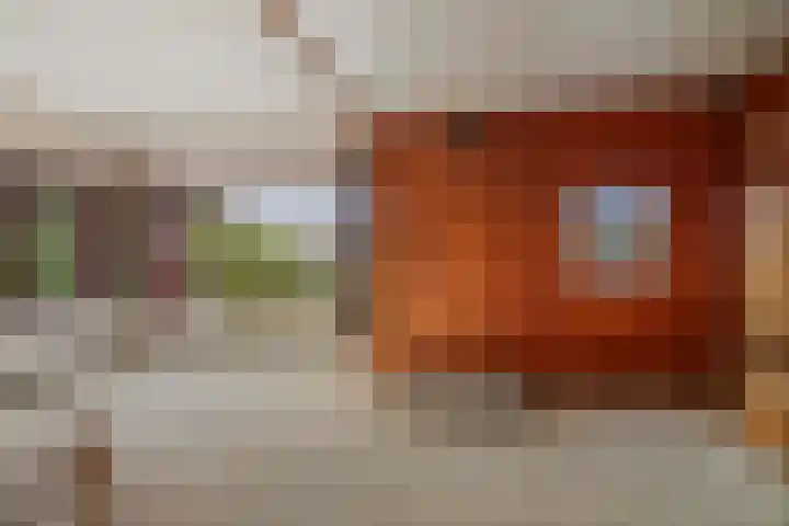 Hulstweg 7 Harfsen thumbnail 6