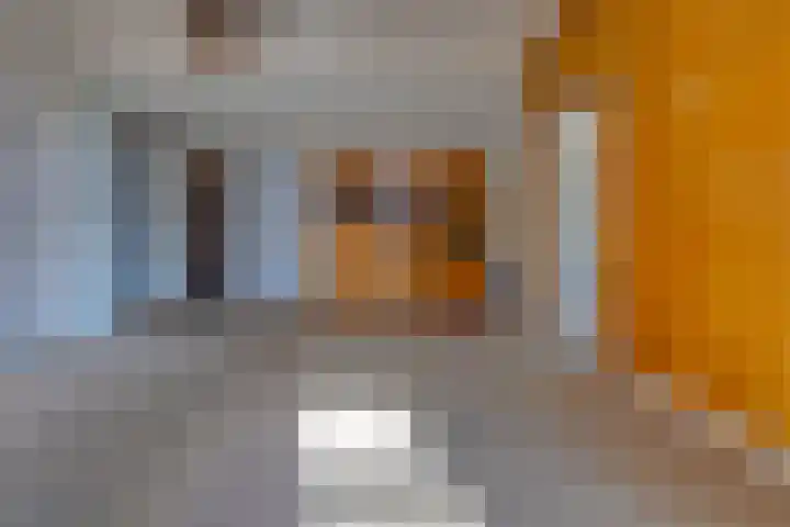 Hunebedstraat 18 Borger thumbnail 9