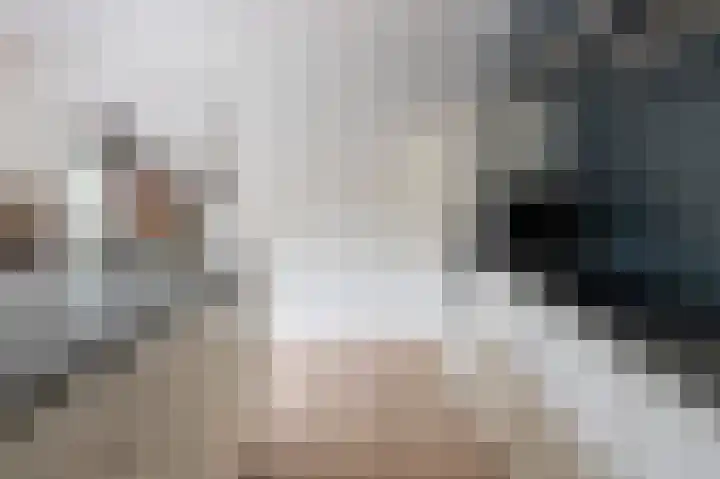 Hunenbaan 4 Emmen thumbnail 14