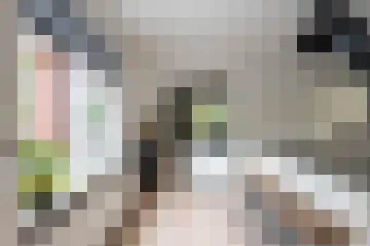 Hunenbaan 4 Emmen thumbnail 15
